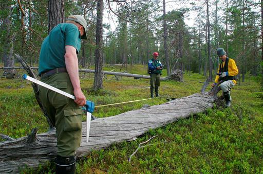 méthodes de taxation des forêts
