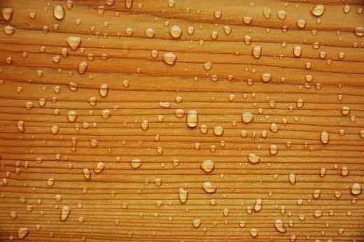 vérification du traitement ignifuge des structures en bois