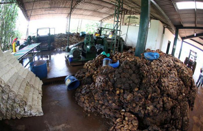 production de caoutchouc