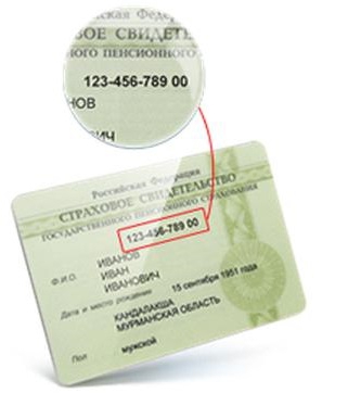 snls comment obtenir