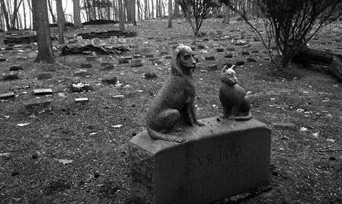 plan d'affaires du crématorium pour animaux