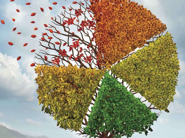 Basic economic research