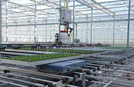 Automatisation des serres