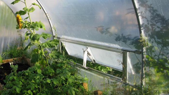 Projets d'automatisation sur Anduina