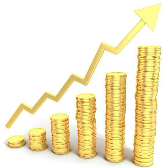 Comment calculer les dividendes pour les fondateurs de LLC