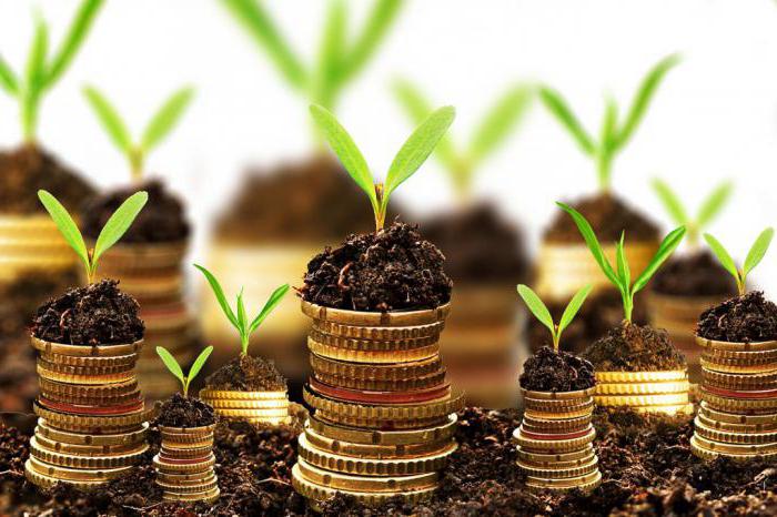 Les principales raisons de l'exportation de capital