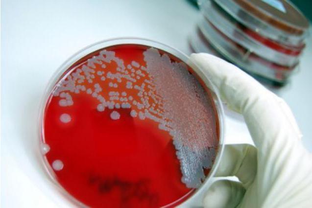 certificat épidémiologique