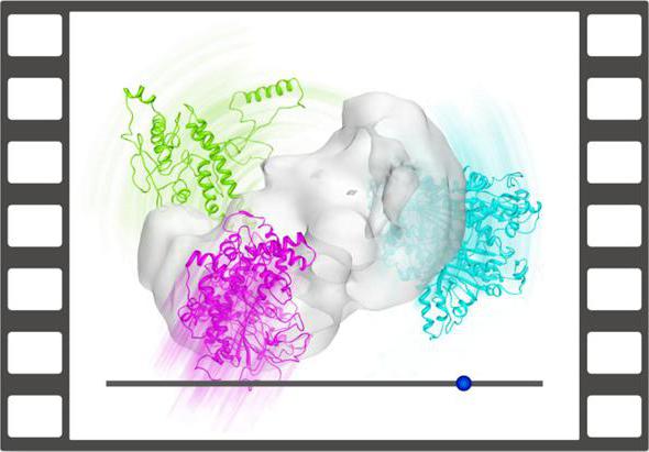static information models examples