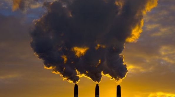 Institute of Economics