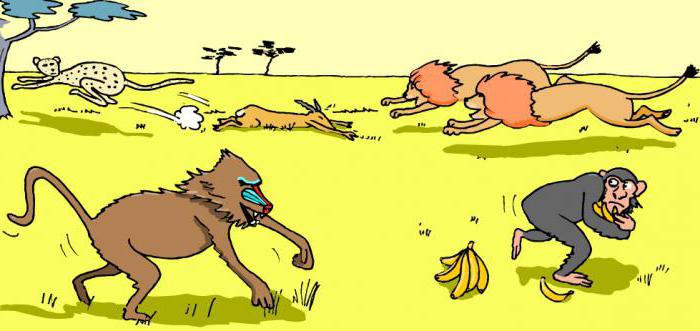 exemples de concurrence dans la nature