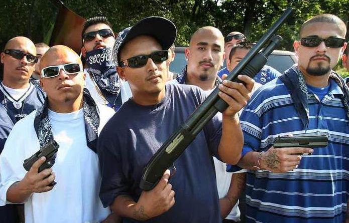 organisation d'une communauté criminelle d'une organisation criminelle ou participation à celle-ci