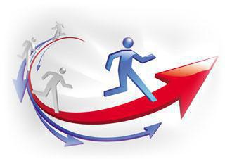 absolutely inelastic demand