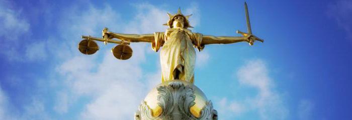 Université de droit