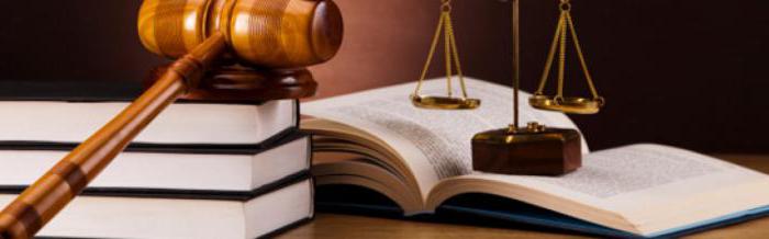 jurisprudence de l'enseignement supérieur