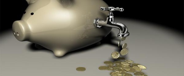 le contrôle financier à la ferme dans l'entreprise effectue