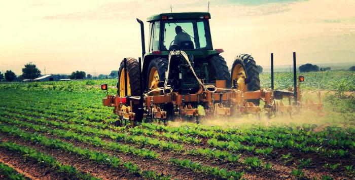 Différents types d'activités commerciales