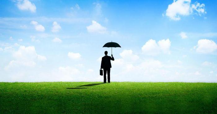 Assurance des risques financiers