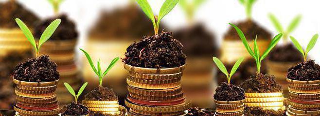 1s programme de comptabilité de gestion