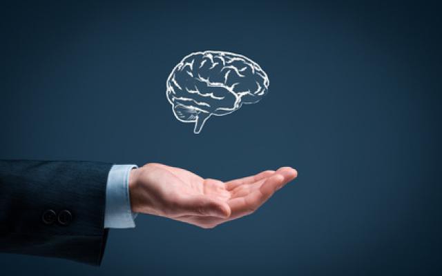 immobilisations corporelles et incorporelles