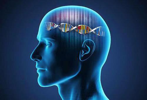 mouvement d'actifs incorporels