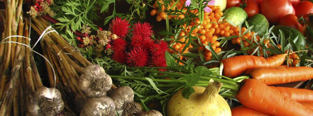 producteurs agricoles