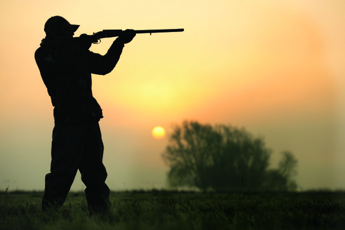 type de terrain de chasse