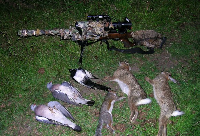 terrains de chasse communs