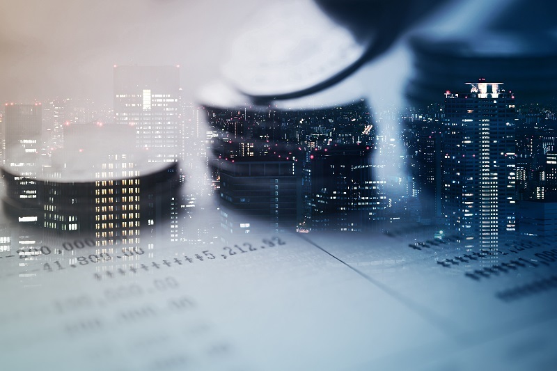 other income of the organization