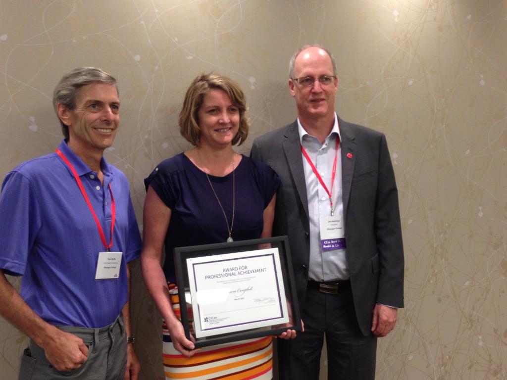 Réalisations professionnelles dans CV