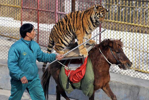 métiers avec des conditions de travail dangereuses