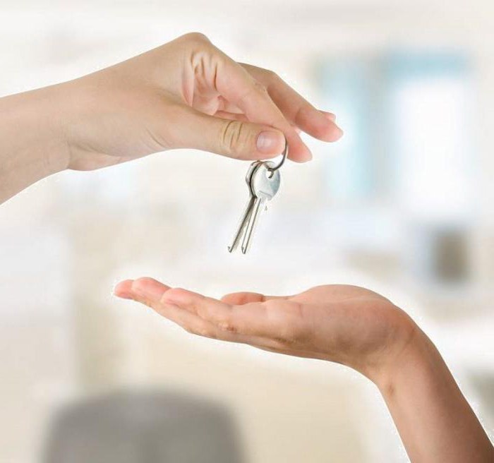 distribution of shares in the apartment