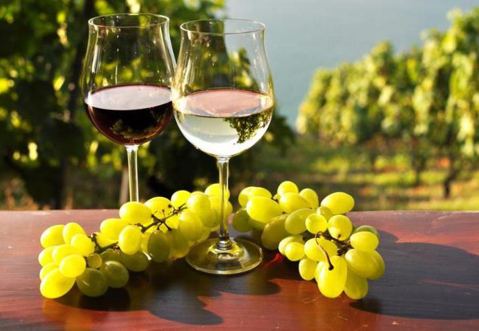 quoi apporter des conseils d'israël