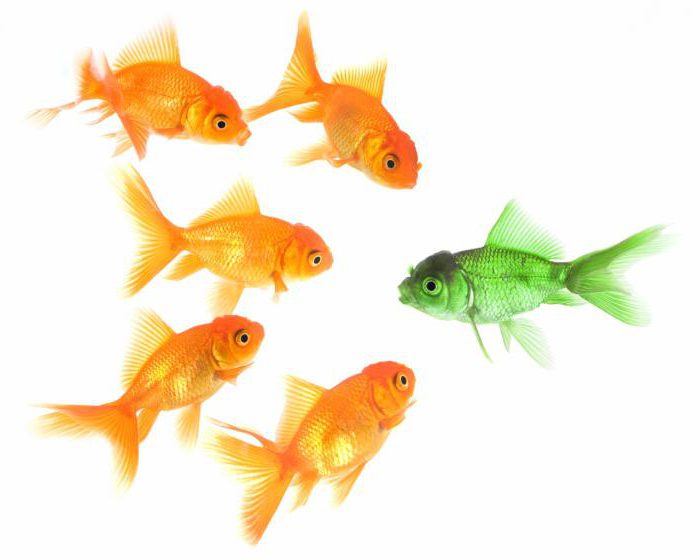 méthode comparative historique