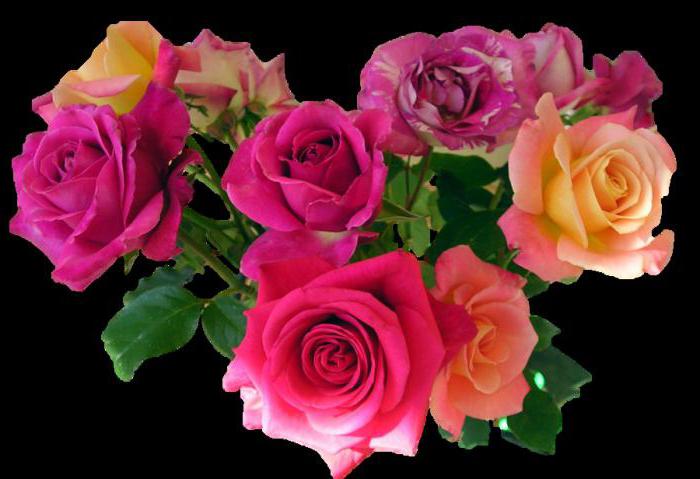 merci pour le texte de coopération