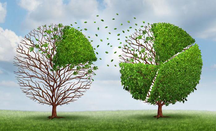 part de marché des produits