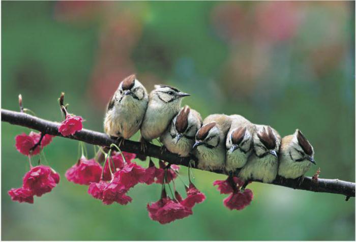 main types of social conflicts