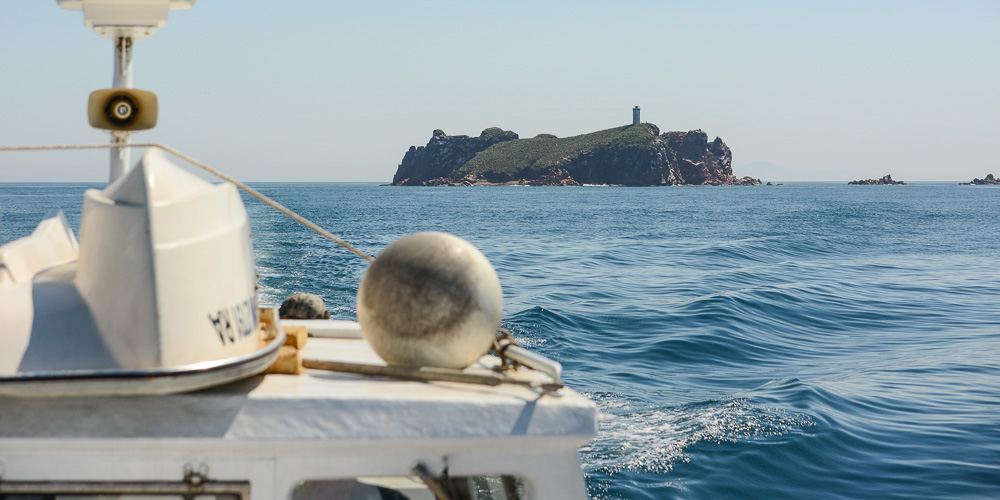 Pierre le Grand Baie