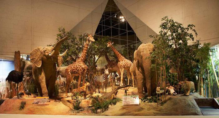 Liste des musées d'Etat de Moscou