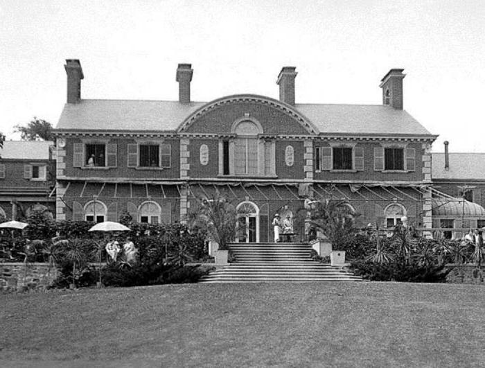 stock market speculator