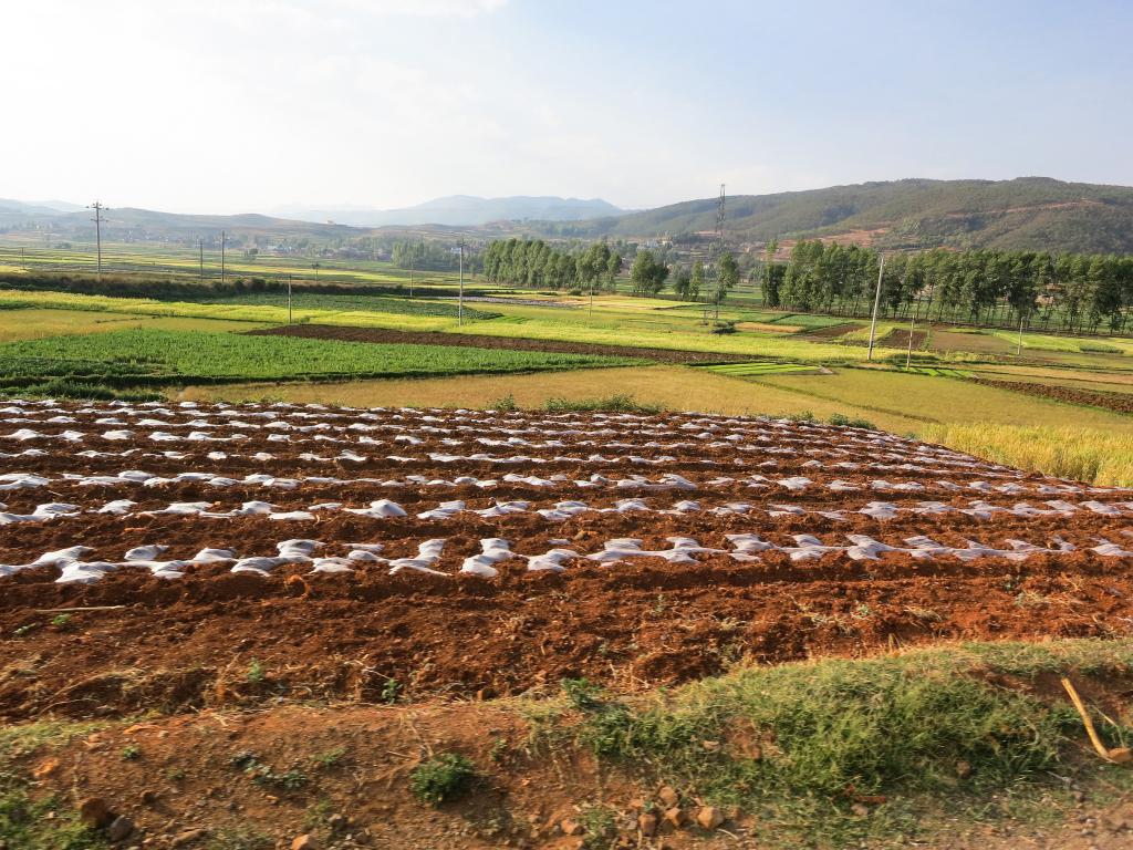 la notion de régime juridique des terres