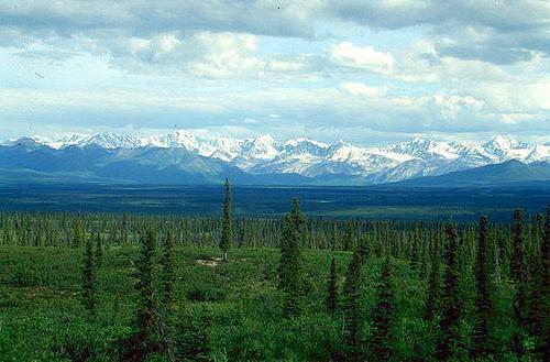 variété de complexes naturels en Russie