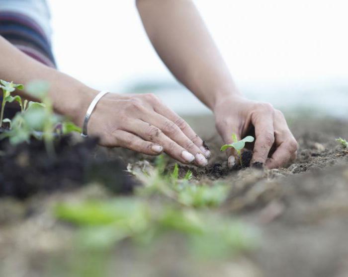 La formation des valeurs de la vie