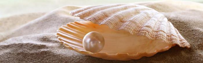 Objectifs et valeurs de la vie