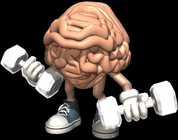 developed right brain