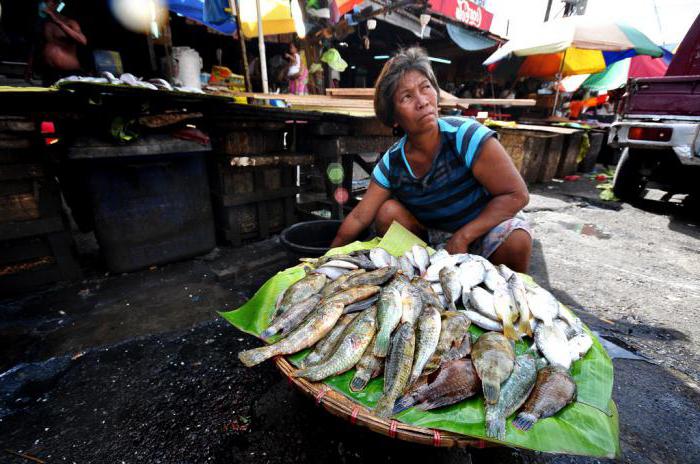impôts sur la population des travailleurs indépendants