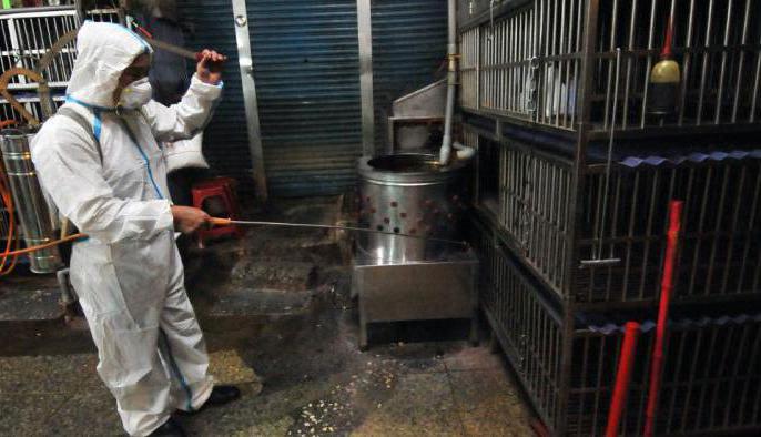 désinfectant poulailler