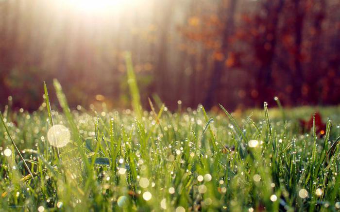 gestion de la nature et protection de l'environnement