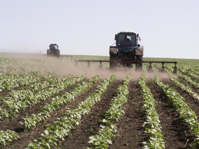 complexe agro-industriel