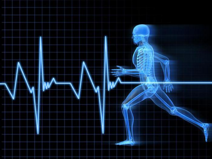 Premier ministre de la santé de Russie