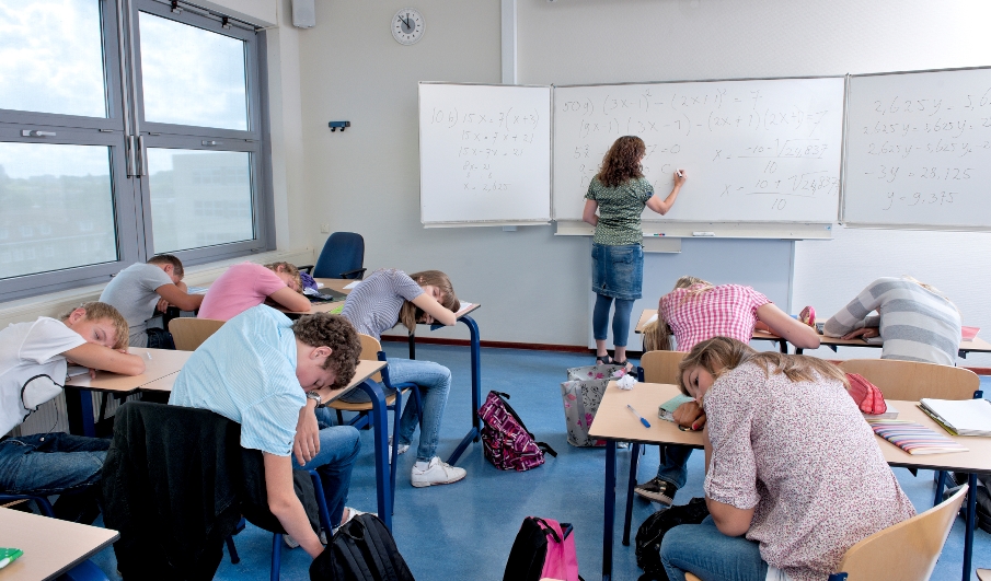 Le gouvernement de la Fédération de Russie a approuvé la nomenclature des postes d'enseignants